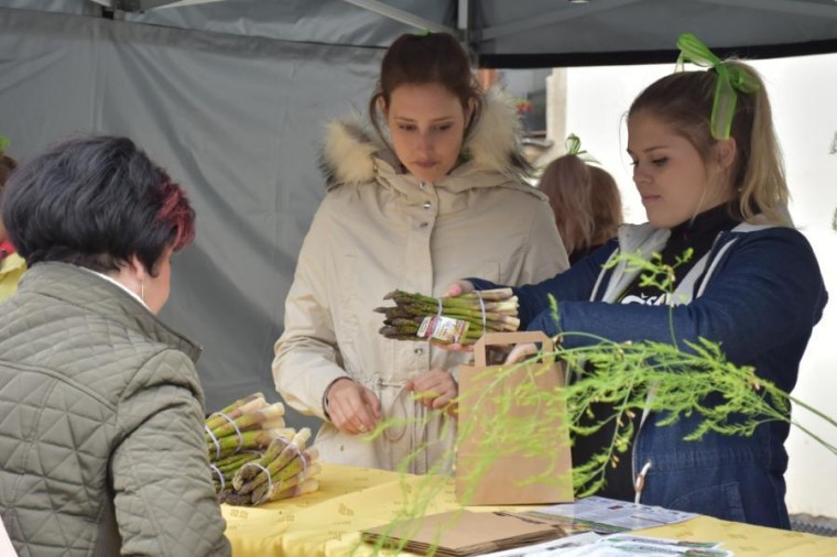 Slavnosti chřestu a vína 2019 Slavnosti chřestu a vína 2019