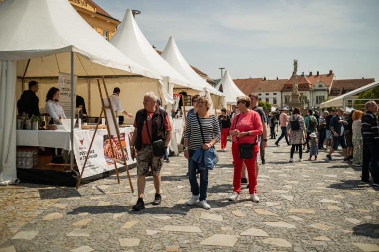 Slavnosti chřestu a vína 2023, foto Tomáš Hradský (foto 7)