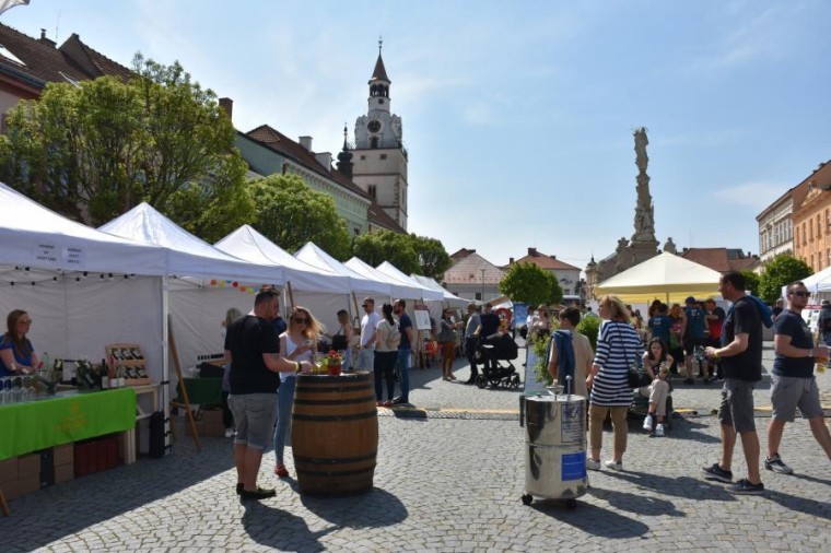 Slavnosti chřestu a vína 2023 (foto 19)