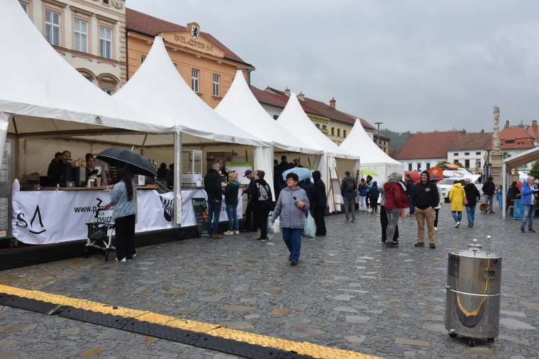 Slavnosti chřestu a vína 2024 (foto 9)