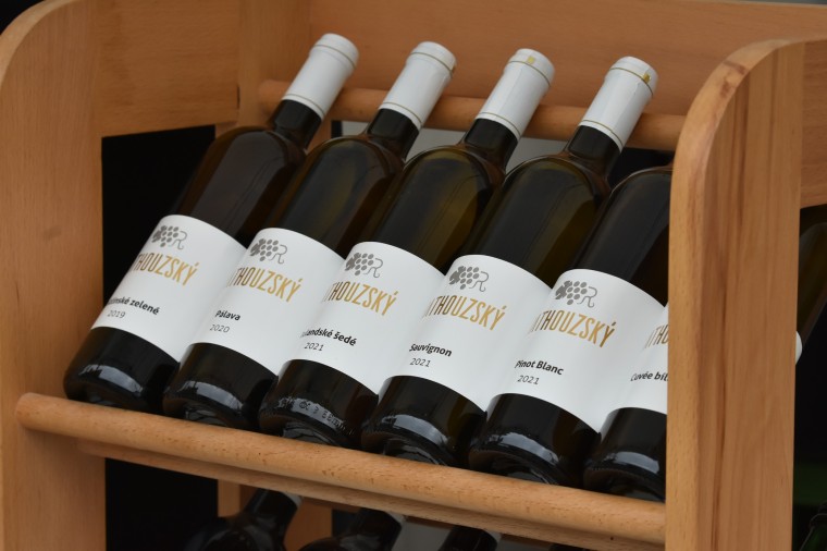 Slavnosti chřestu a vína 2024 (foto 34)