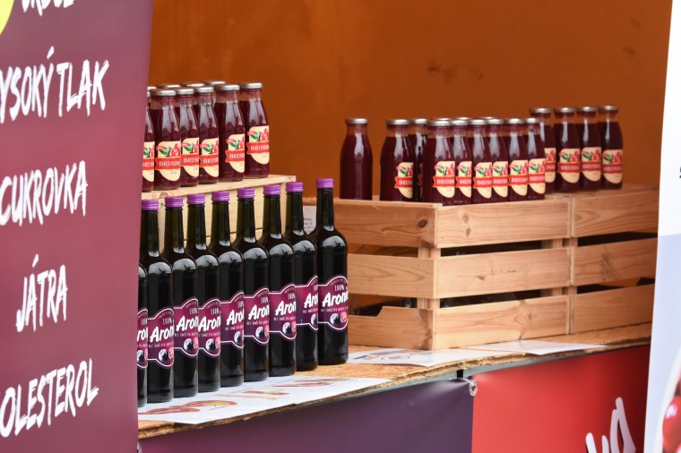 Slavnosti chřestu a vína 2024 (foto 38)