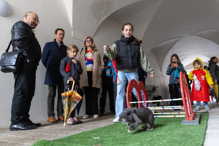 Slavnosti chřestu a vína 2024, foto Majda Slámová (foto 10)
