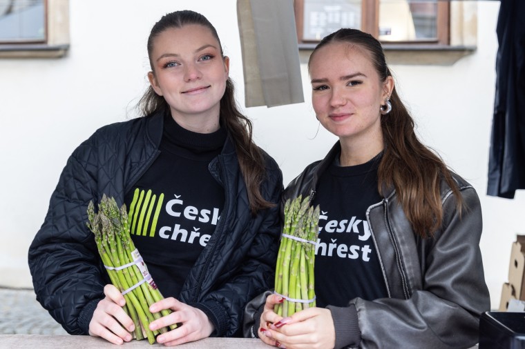 Slavnosti chřestu a vína 2024, foto Majda Slámová (foto 17)