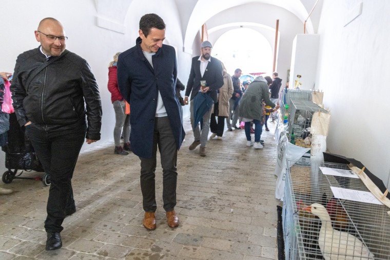 Slavnosti chřestu a vína 2024, foto Majda Slámová (foto 20)