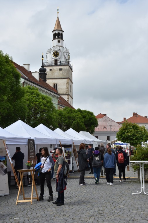 Slavnosti chřestu a vína 2024 (foto 27)