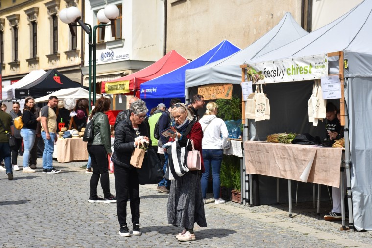 Slavnosti chřestu a vína 2024 (foto 34)