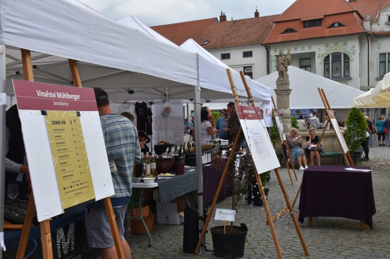 Slavnosti chřestu a vína 2024 (foto 17)