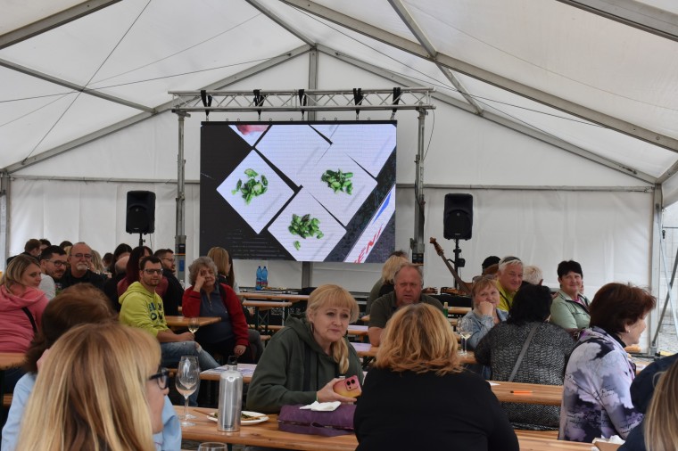 Slavnosti chřestu a vína 2024 (foto 41)