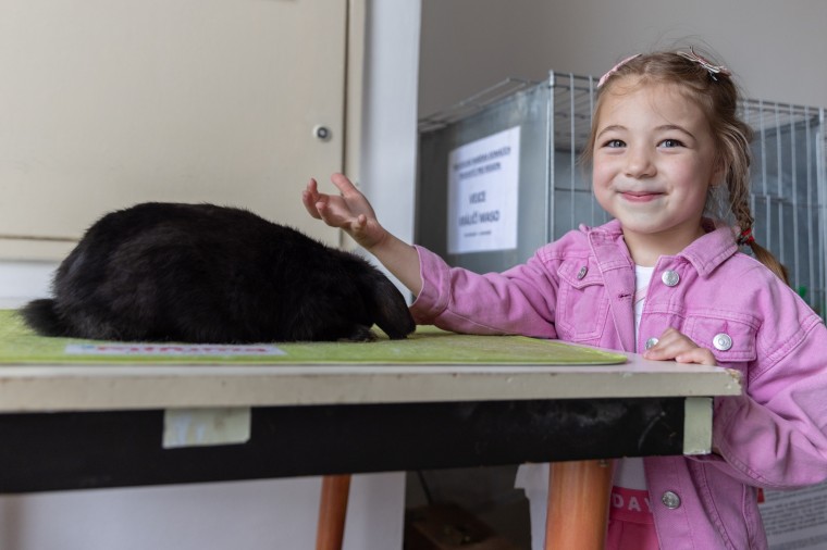 Slavnosti chřestu a vína 2024, foto Majda Slámová (foto 25)