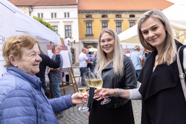Slavnosti chřestu a vína 2024, foto Majda Slámová (foto 37)