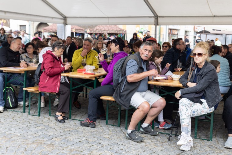 Slavnosti chřestu a vína 2024, foto Majda Slámová (foto 50)