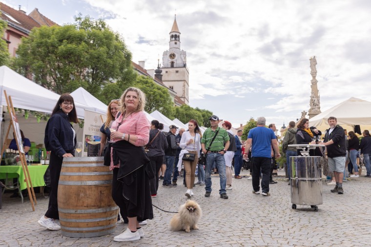 Slavnosti chřestu a vína 2024, foto Majda Slámová (foto 57)