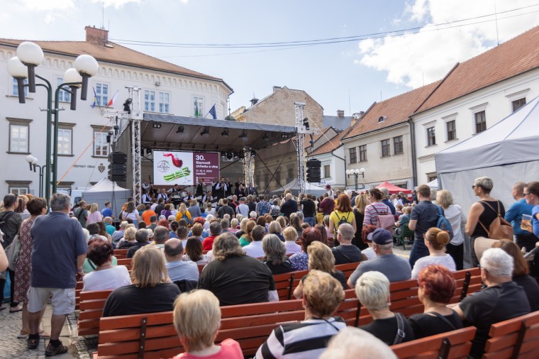 Slavnosti chřestu a vína 2024, foto Majda Slámová (foto 25)