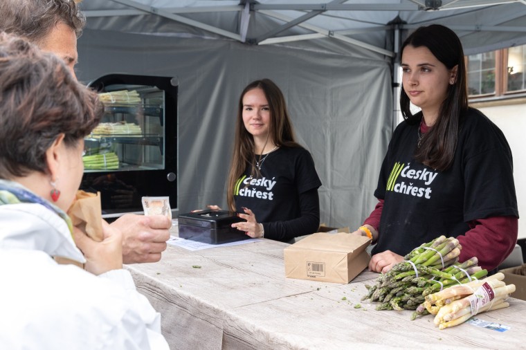 Slavnosti chřestu a vína 2024, foto Majda Slámová (foto 43)