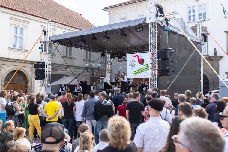Slavnosti chřestu a vína 2024, foto Majda Slámová (foto 64)