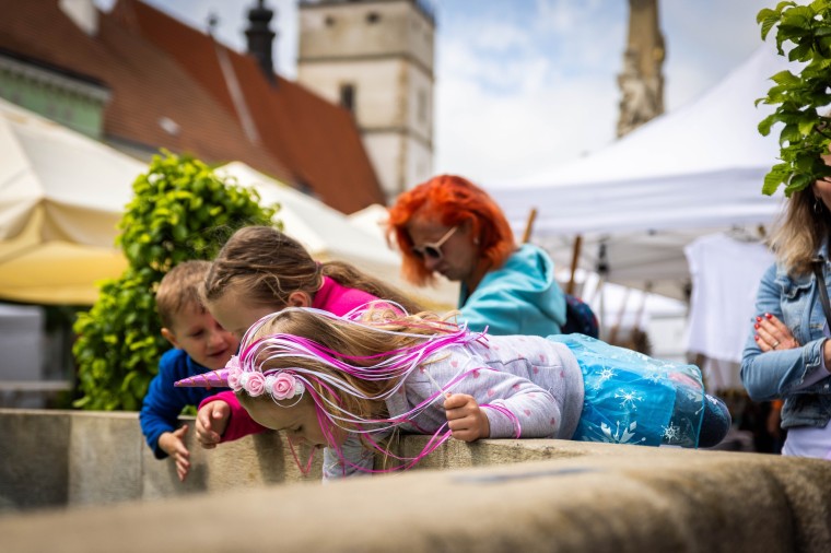 Slavnosti chřestu a vína 2024, foto Monika Búryová (foto 44)