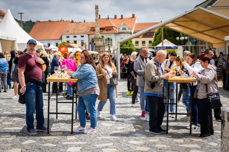 Slavnosti chřestu a vína 2024, foto Monika Búryová (foto 50)
