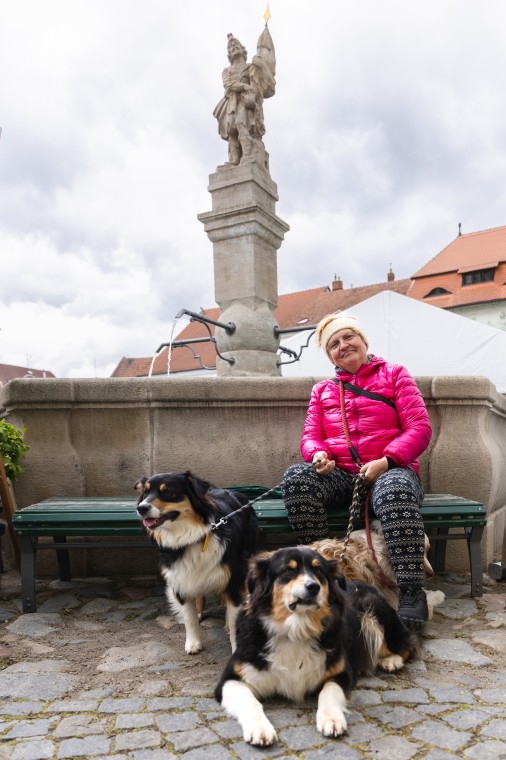 Slavnosti chřestu a vína 2025, foto Majda Slámová (foto 19)