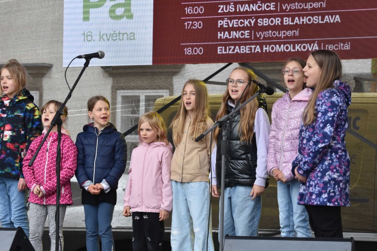 Slavnosti chřestu a vína 2025 (foto 11)