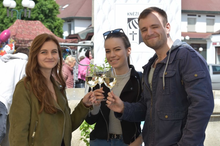 Slavnosti chřestu a vína 2025 (foto 19)