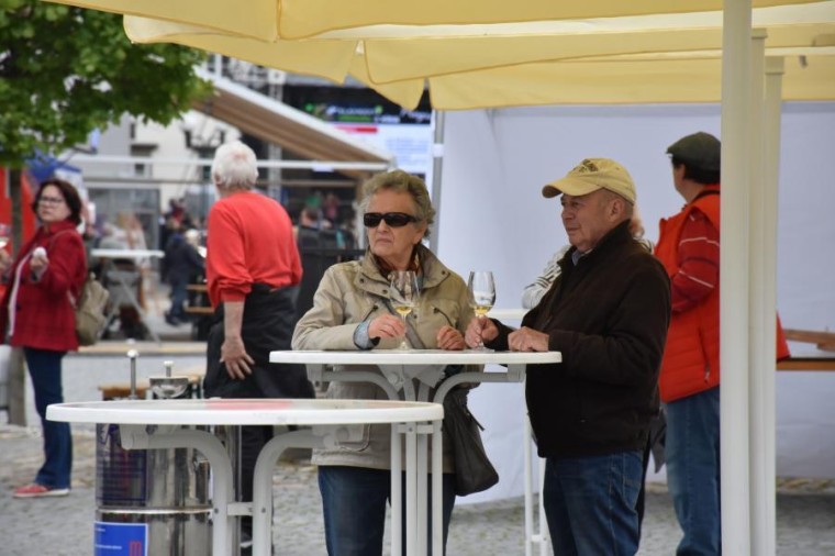 Slavnosti chřestu a vína 2023 (foto 23)