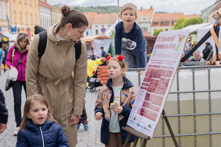Slavnosti chřestu a vína 2025, foto Majda Slámová (foto 21)