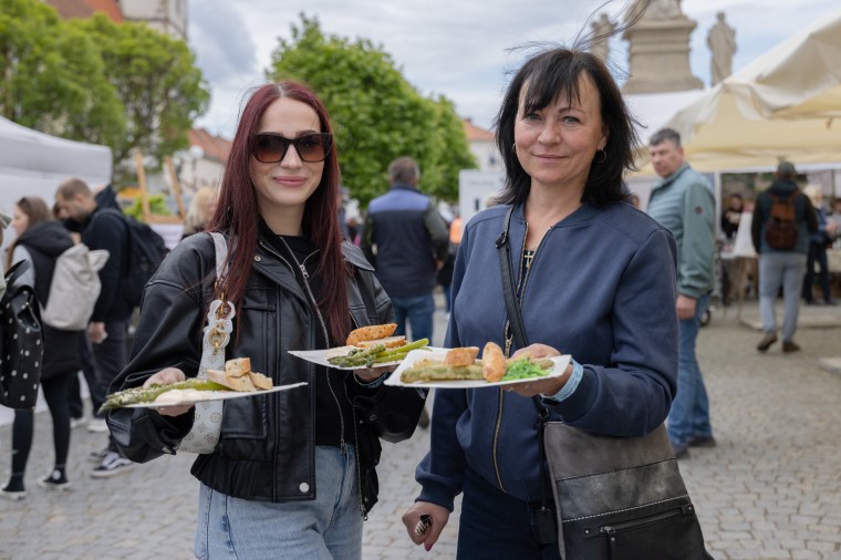 Slavnosti chřestu a vína 2025, foto Majda Slámová (foto 42)