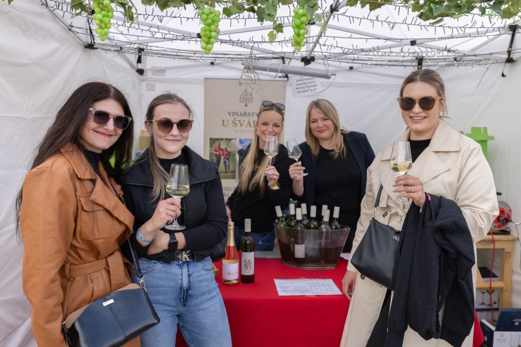Slavnosti chřestu a vína 2025, foto Majda Slámová (foto 68)