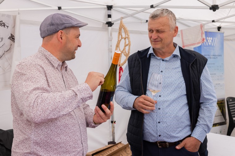 Slavnosti chřestu a vína 2025, foto Majda Slámová (foto 5)
