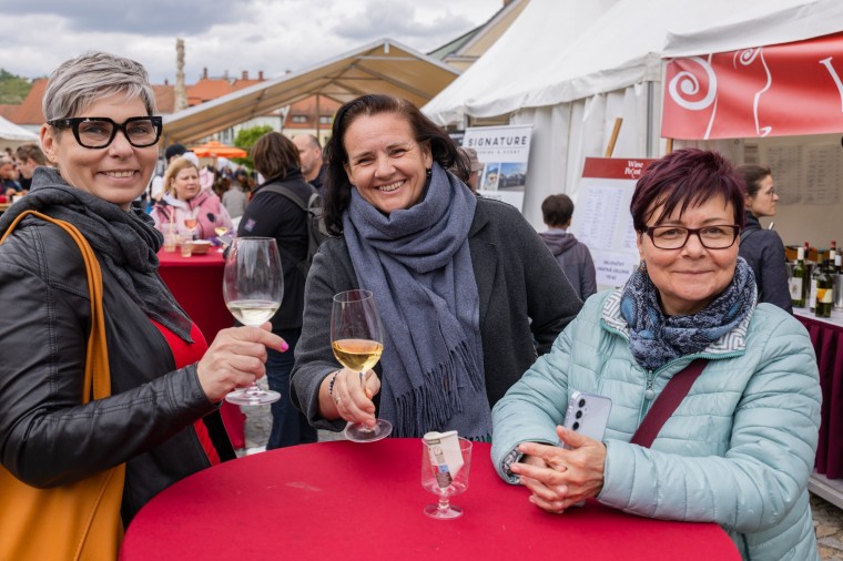Slavnosti chřestu a vína 2025, foto Majda Slámová (foto 44)