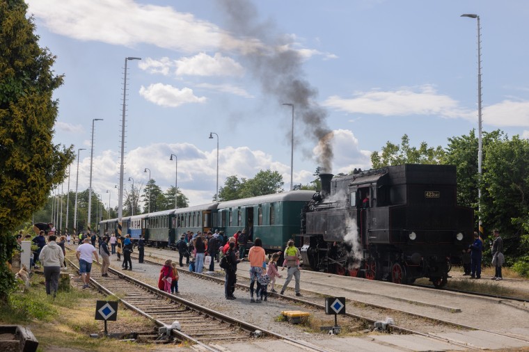 Slavnosti chřestu a vína 2025, foto Majda Slámová (foto 60)