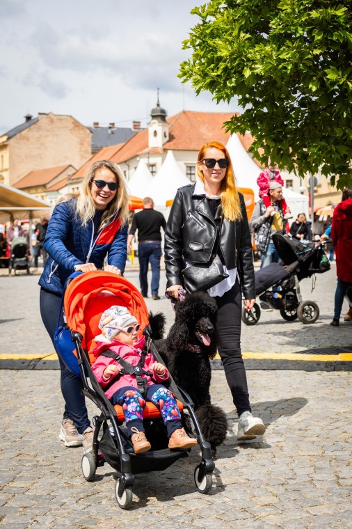 Slavnosti chřestu a vína 2025, foto Monika Búryová (foto 8)