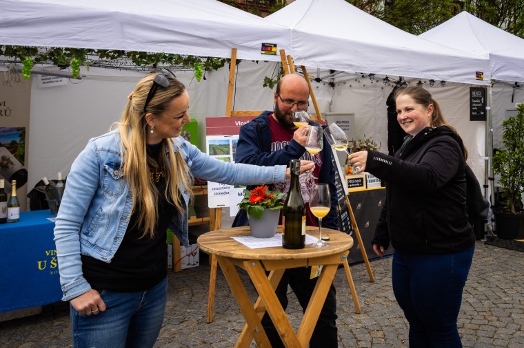 Slavnosti chřestu a vína 2025, foto Monika Búryová (foto 25)