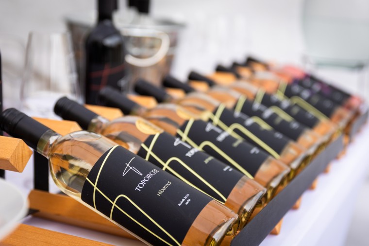 Slavnosti chřestu a vína 2025, foto Monika Búryová (foto 26)