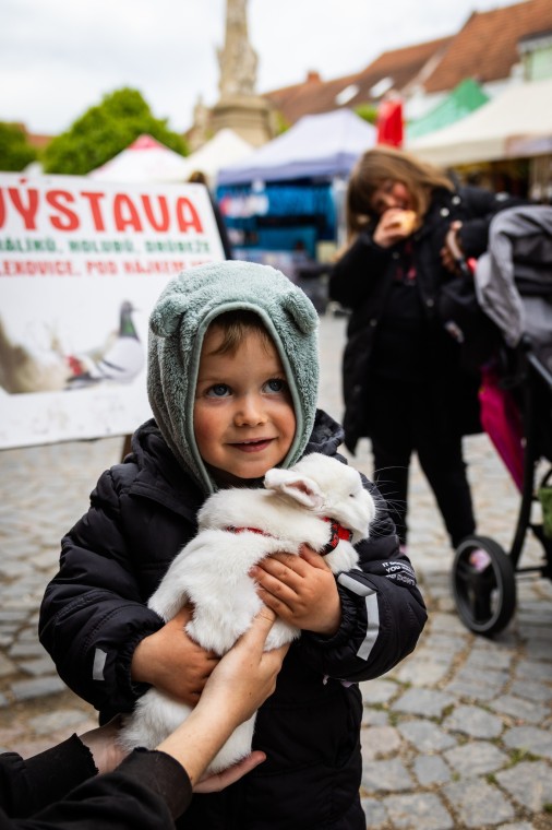 Slavnosti chřestu a vína 2025, foto Monika Búryová (foto 28)