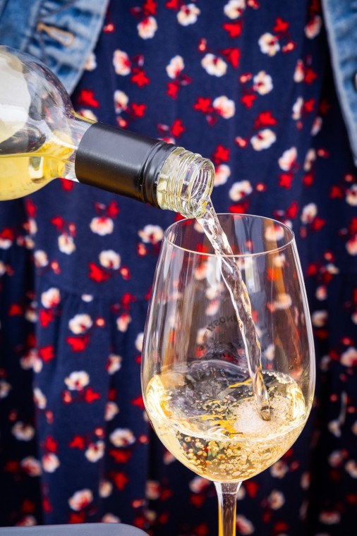 Slavnosti chřestu a vína 2025, foto Monika Búryová (foto 32)