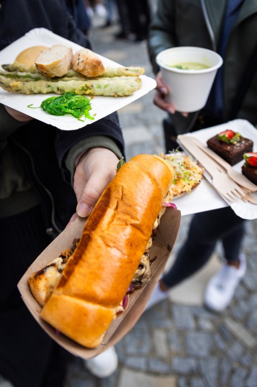 Slavnosti chřestu a vína 2025, foto Monika Búryová (foto 35)