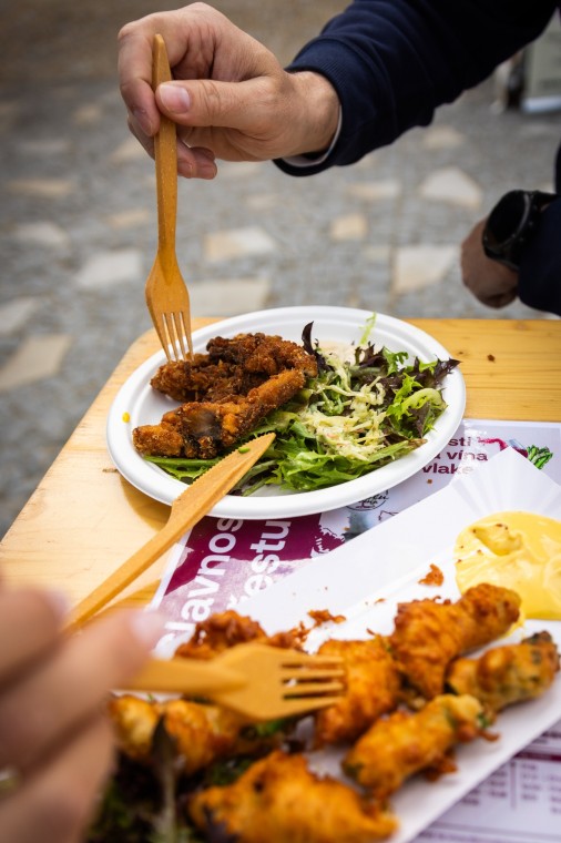 Slavnosti chřestu a vína 2025, foto Monika Búryová (foto 61)