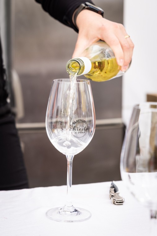 Slavnosti chřestu a vína 2025, foto Monika Búryová (foto 86)