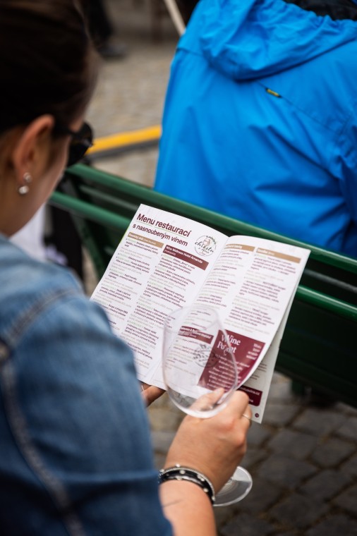 Slavnosti chřestu a vína 2025, foto Monika Búryová (foto 94)