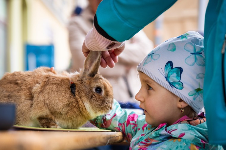 Slavnosti chřestu a vína 2025, foto Monika Búryová (foto 95)