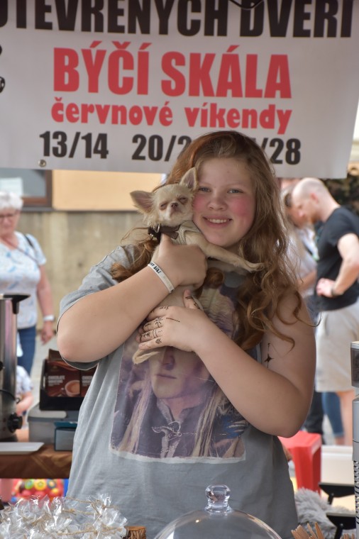 Slavnosti chřestu a vína 2026 (foto 11)