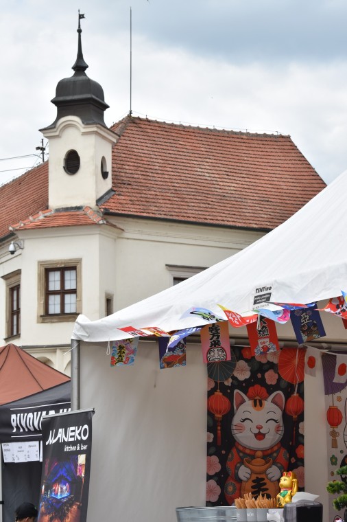 Slavnosti chřestu a vína 2026 (foto 23)