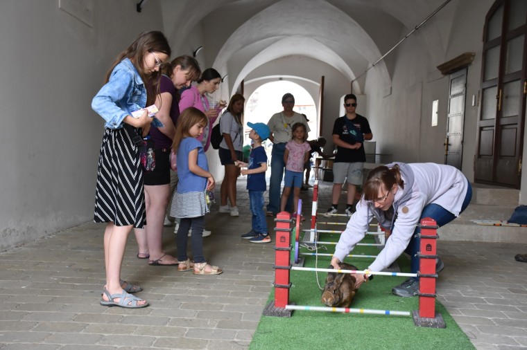 Slavnosti chřestu a vína 2026 (foto 50)