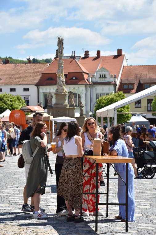 Slavnosti chřestu a vína 2026 (foto 18)