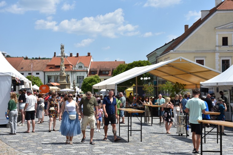 Slavnosti chřestu a vína 2026 (foto 17)