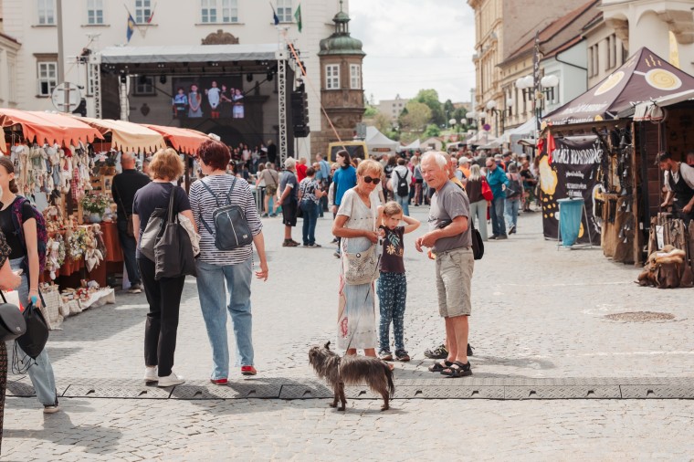 Slavnosti chřestu a vína 2026, foto Jan Dvořák (foto 14)