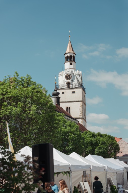 Slavnosti chřestu a vína 2026, foto Jan Dvořák (foto 2)