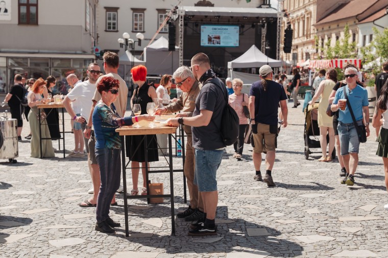 Slavnosti chřestu a vína 2026, foto Jan Dvořák (foto 9)
